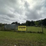 Fotografia nr 7